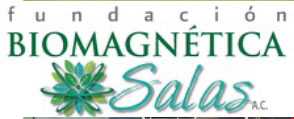Logo Fundación Salas